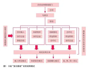 多元联结：乡村人才振兴视域下高素质农民培育模式创新