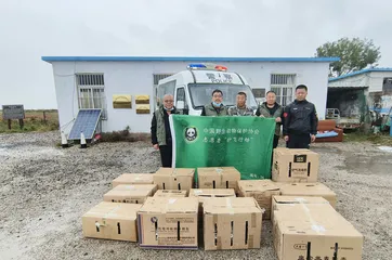 河北康保志愿者护送救助鸟类“过冬”