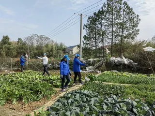 湖南湘潭志愿者开展巡护、拆除鸟网1