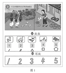 记录数数过程与结果 形成数学知识与经验1
