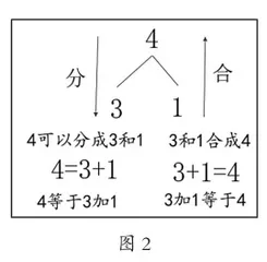 记录数数过程与结果 形成数学知识与经验3