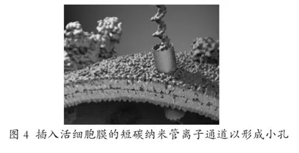 基于生物学大概念的学习进阶单元教学设计3