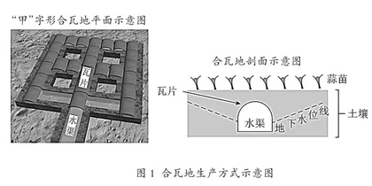 地理微观视角的建构与应用