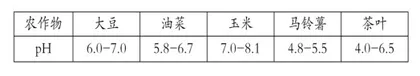 素养导向的初中化学单元作业设计探究2
