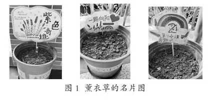 五育融合背景下的校本“品位”劳动课程的实践探索