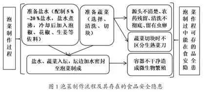 在高中生物学科教学中落实生命观念教育