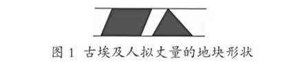 “三融合”让数学文化落地生根