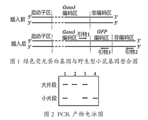 高考真实情境命题对高中生物教学的挑战与应对策略