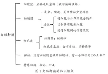 以大肠杆菌为主题的情境化教学实践与反思2