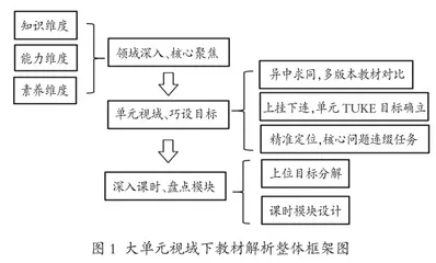 单元视角理结构 精准定位培素养