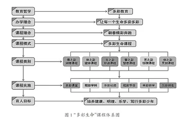 “多彩生命”课程的开发与实施
