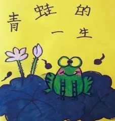 农村幼儿园开展生命教育的有效策略