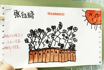 如何开展科学探究活动
