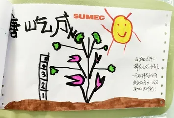 如何开展科学探究活动1