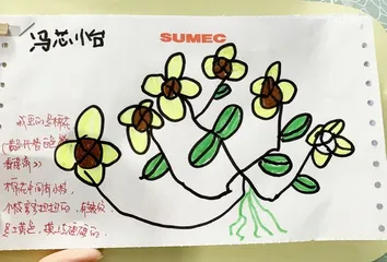 如何开展科学探究活动2