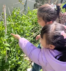 走进大班幼儿生命教育1
