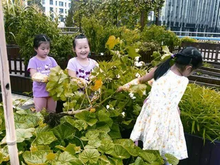 棉花种植活动中培养幼儿生态意识的行与思