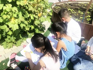 棉花种植活动中培养幼儿生态意识的行与思1