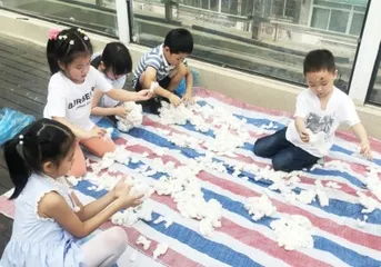 棉花种植活动中培养幼儿生态意识的行与思3