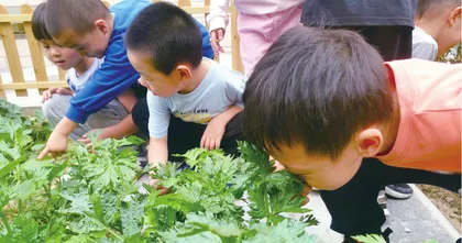 菜园四季盛开思政之花