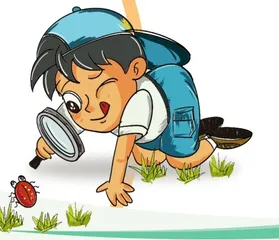 幼儿区域环境创设的艺术探析