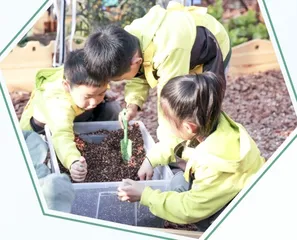 笋芽乐园:农村幼儿种植活动有效开展的实践与研究1