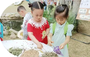园子里的那些事儿