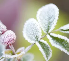无声的环境 有声的学习