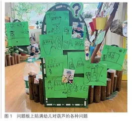 葫芦成长