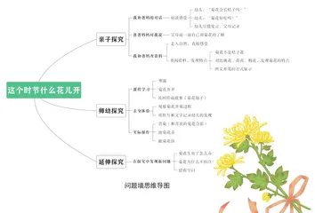 秋日里那最美的花