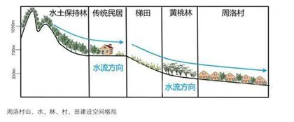 山水林村田·生命共同体