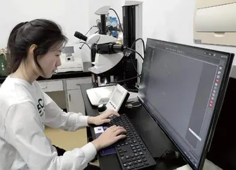 我站在巨人的肩膀上