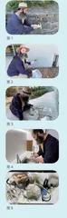 垃圾寻宝游戏