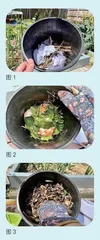 活动设计