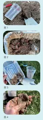 深入研究土壤科学