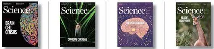 点击科学