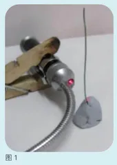 活动设计