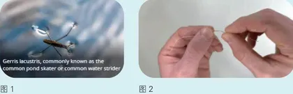 制作一只水黾