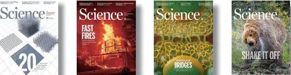 点击科学