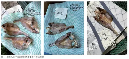 探索阿拉海鲜