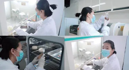 在英才计划中夯实科研基础播撒希望的种子