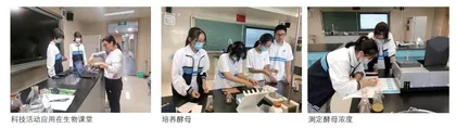 发古至今,“酵”行天下 