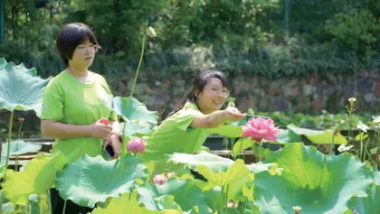 植物科学专题营：探究莲的奥秘，助力绿色生态发展