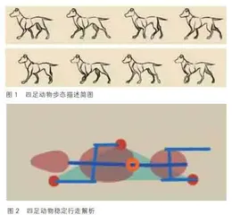 创意机器人创新实践教育活动