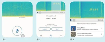 聆听大自然的歌声