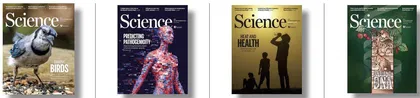 点击科学