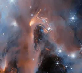 科学新闻