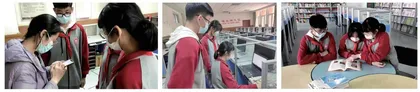 校园植物码书制作学习活动  
