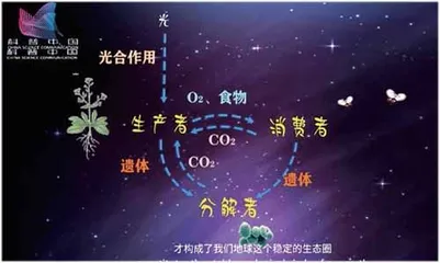 “科普转化、创作方案类”科技创新项目式学习设计