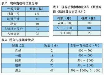 古木逢春忆沧桑百年古槐系乡愁 